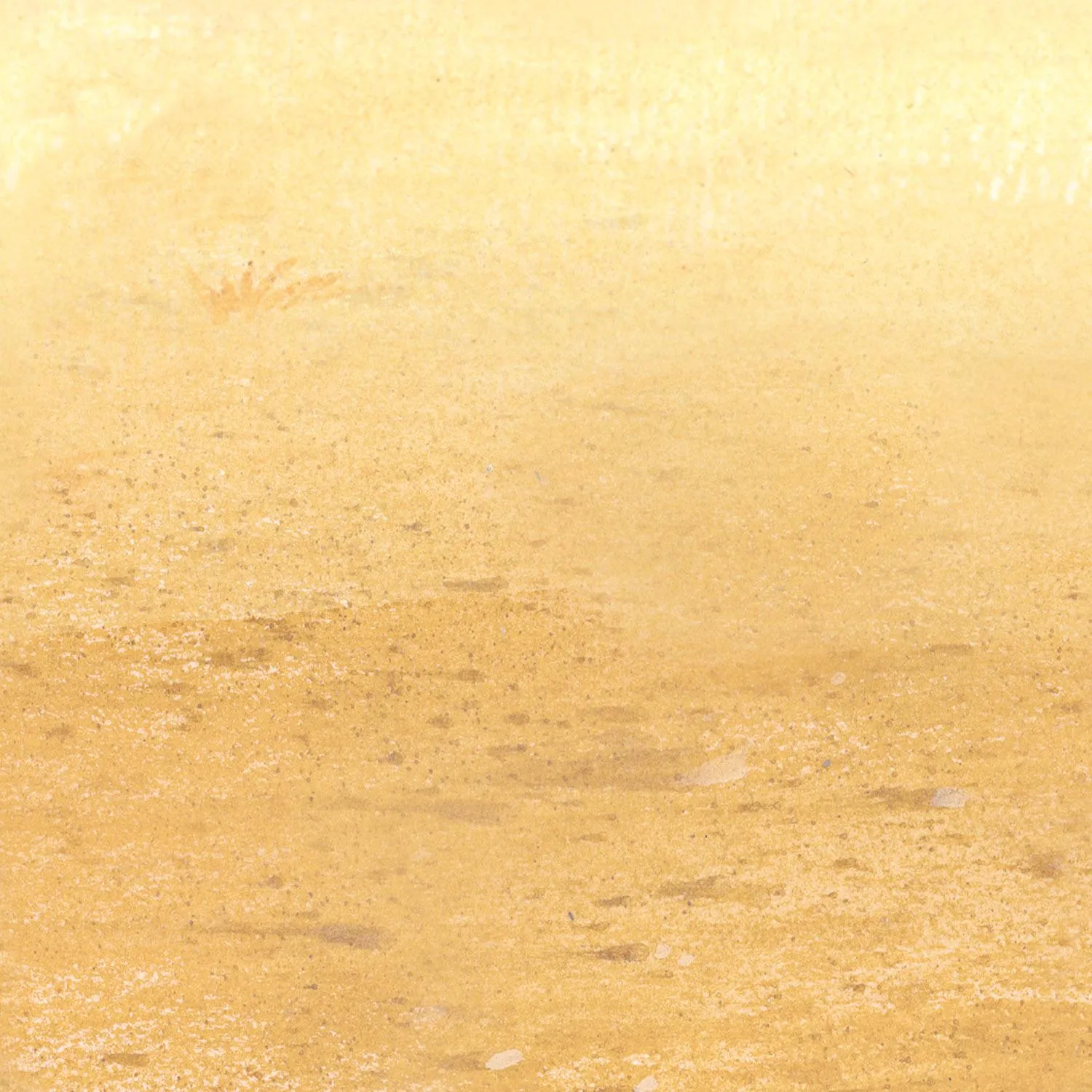 Desert Sand Party Backdrop