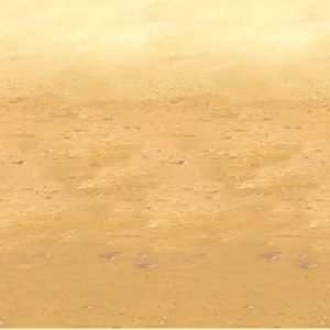 Desert Sand Party Backdrop