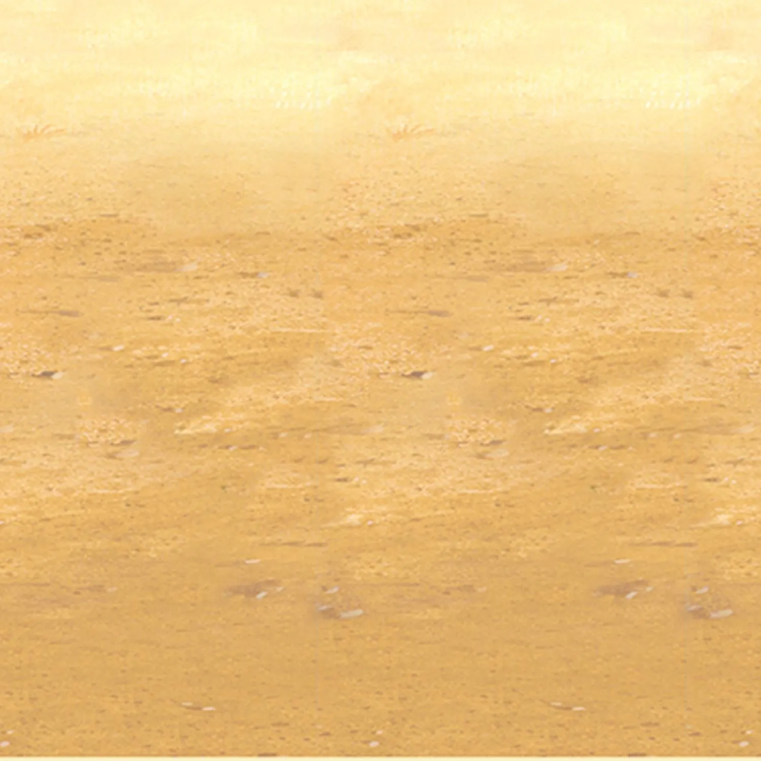 Desert Sand Party Backdrop