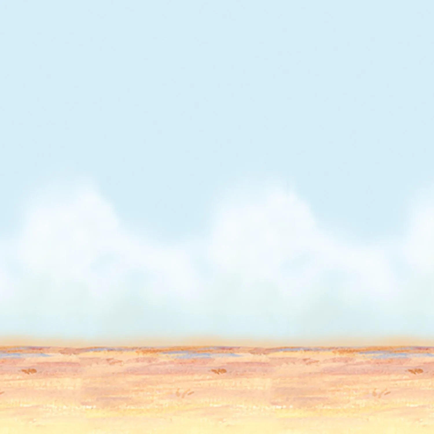Desert Sky & Sand Party Backdrop